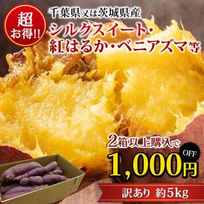 2箱以上ご購入で1,000円OFF さつまいも 千葉県・茨城県産 訳あり C品 約5kg サイズおまかせ 爆買