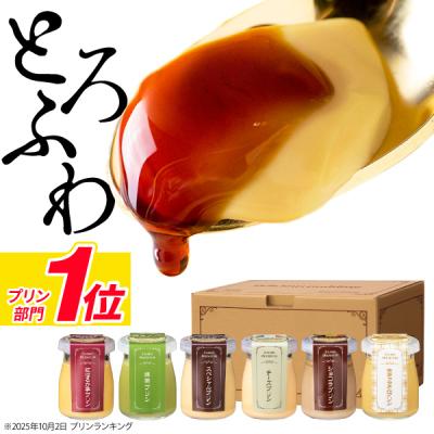 ＼P3倍／ お歳暮 ギフト プリン スイーツ 財宝 プレミアムプリン 6個入6種 誕生日 プレゼント お取り寄せ 2025