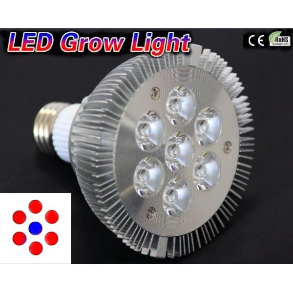 14w 赤 青植物育成ｌｅｄライトスポットライトe26口金室内栽培水耕栽培ビーム形led電球植物育成用660nmled使用 Buyee 日本代购平台 产品购物网站大全 Buyee一站式代购