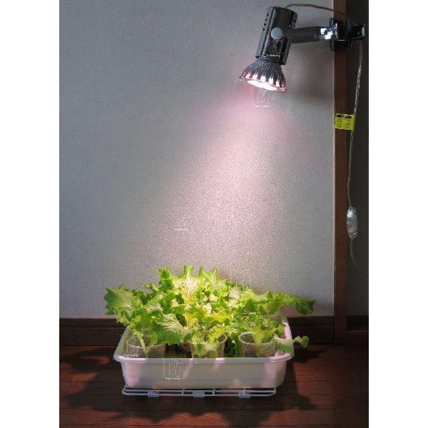 14w 観賞用 植物育成LED スポットライト 白/赤LED 水耕栽培 室内栽培 一般照明 植物育成用660nmLED使用 観賞向けライト E26 /【Buyee】 14w 観賞用 植物育成LED スポットライト 白/赤LED 水耕栽培 室内栽培 一般照明 植物育成用660nmLED使用 観賞向けライト E26 /【Buyee】