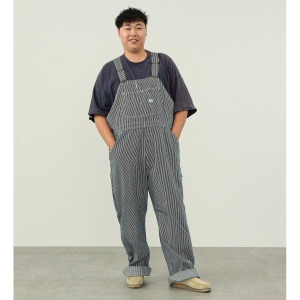 【大きいサイズ】【年間ベストセラー】DUNGAREES オーバーオール／リー（Lee）