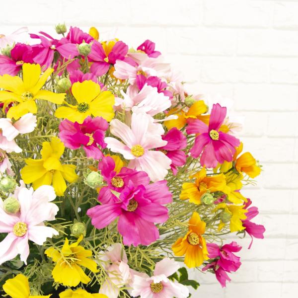 Pa241 造花スタンドアレンジ コスモス アイビー シリンダーバスケットスタンド90 フラワーアレンジメント スタンド花 フラワースタンド アートフラワー Buyee Buyee 提供一站式最全面最專業現地yahoo Japan拍賣代bid代拍代購服務 Bot Online