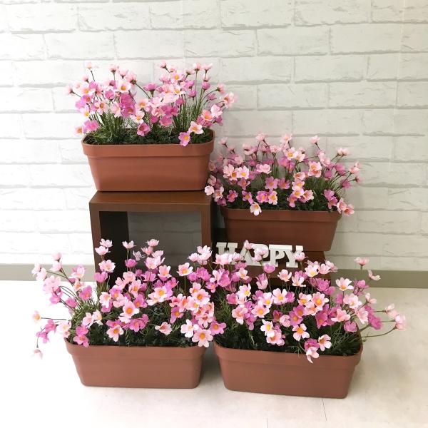 Pf224 造花ミニプランター コスモス ピンク ４個セット プランター 造花 秋桜 秋装飾 店舗装飾 パチンコ店 住宅展示場 工事現場 ストアディスプレイ Buyee Buyee 日本の通販商品 オークションの代理入札 代理購入