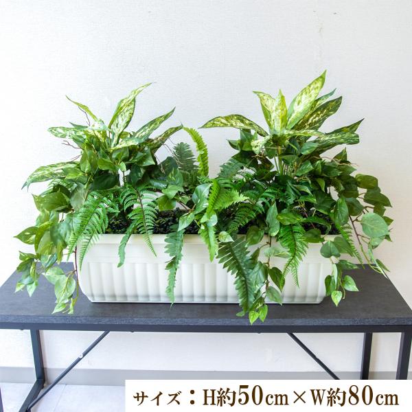 (PFW001-JRM)H約50cm×W約80cm(プランターサイズ：H約19cm×W約65cm×D23.5cm)