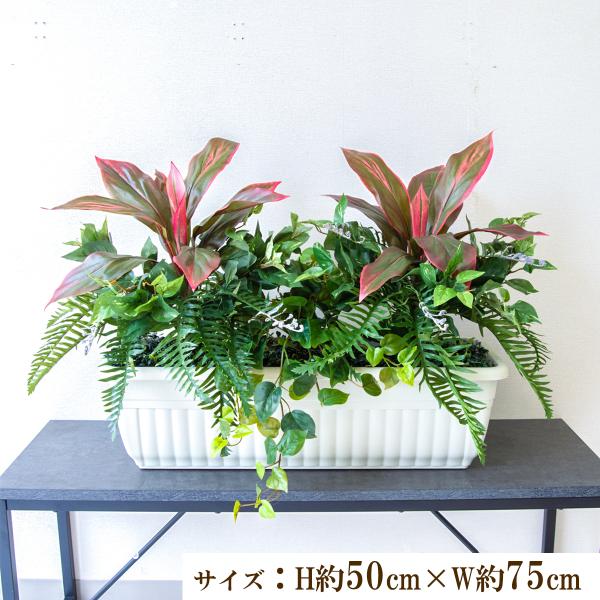 (PFW003-JRM)H約50cm×W約75cm(プランターサイズ：H約19cm×W約65cm×D23.5cm)