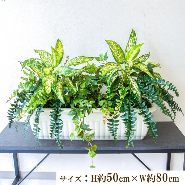 (PFW004-JRM)H約50cm×W約80cm(プランターサイズ：H約19cm×W約65cm×D23.5cm)