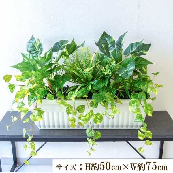 (PFW005-JRM)H約50cm×W約75cm(プランターサイズ：H約19cm×W約65cm×D23.5cm)