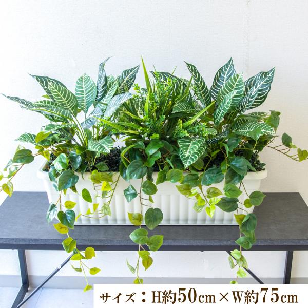 (PFW006-JRM)H約50cm×W約75cm(プランターサイズ：H約19cm×W約65cm×D23.5cm)