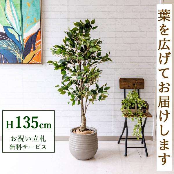 0101pp-shop_pg080-j30