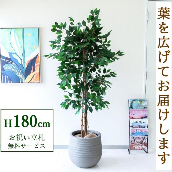 0101pp-shop_pg091-j40