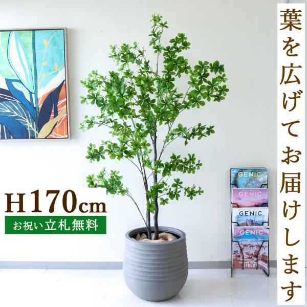 光触媒　人工観葉植物　ウォールグリーン　フェイクグリーン　フラワー　ツツジ200 光触媒 人工観葉植物 ウォールグリーン フェイクグリーン
