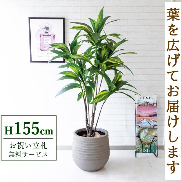 0101pp-shop_pg179-j40