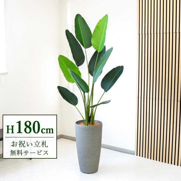 オーガスタ　人工観葉植物　フェイクグリーン　大きめ 黒鉢付き フェイクグリーン オーガスタ H約180cm 鉢付き / 観葉植物 フェイク