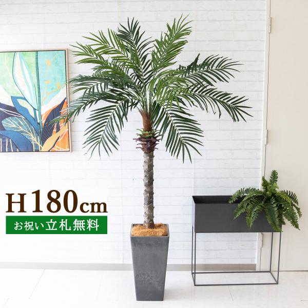 0101pp-shop_pg212-q25bk