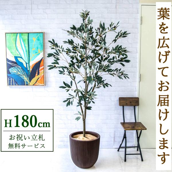 ☆立札無料☆【すぐ飾れる】 フェイクグリーン 人工観葉植物 オリーブ
