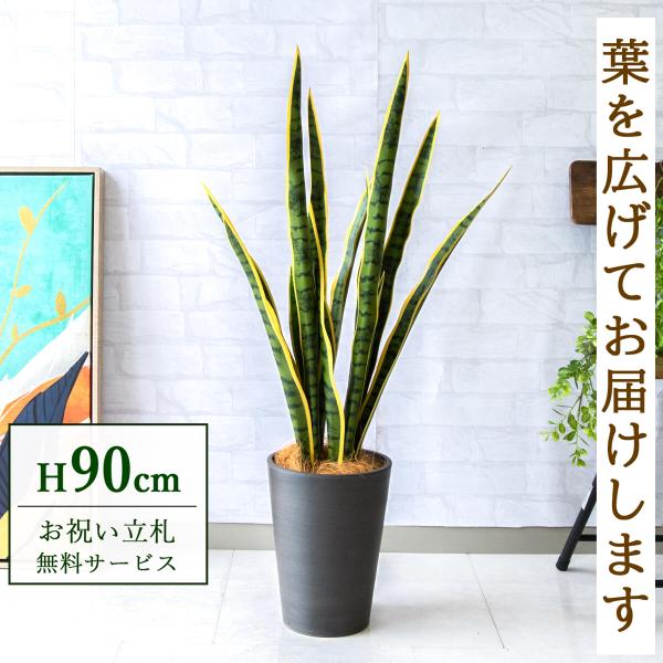 0101pp-shop_pg254-x20bk