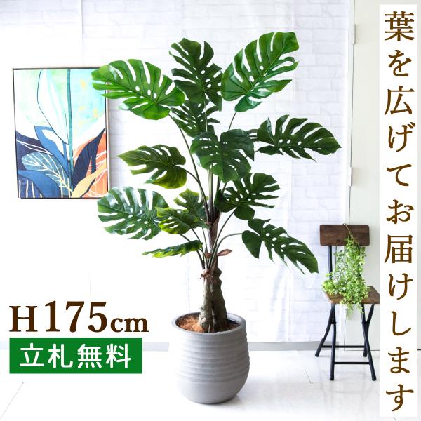 0101pp-shop_pg259-j40