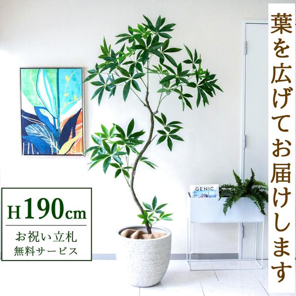 ☆立札無料☆【すぐ飾れる】 フェイクグリーン 人工観葉植物 パキラ