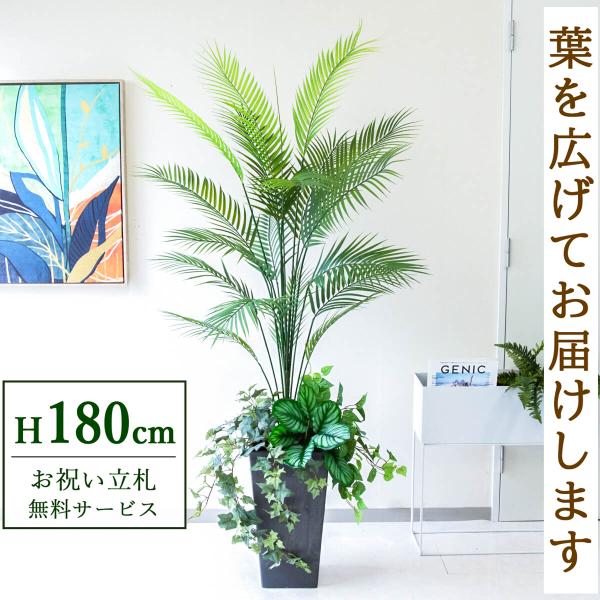フェイクグリーン アレカパームツリー H約180cm 鉢付き / 観葉植物