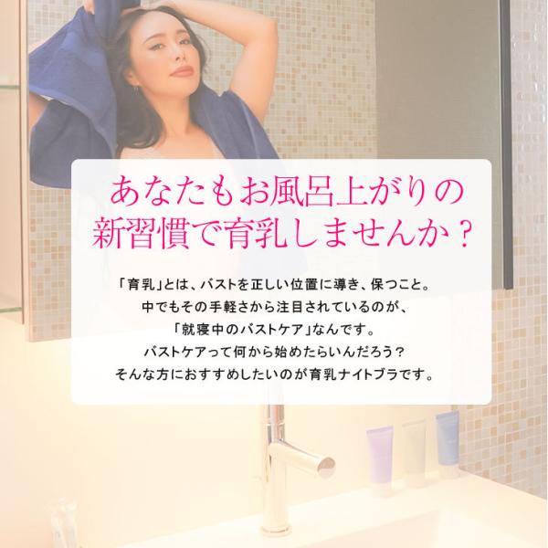 ナイトブラ 育乳 美乳 ショーツセット セット 上下 大きいサイズ 40代 大きい胸 垂れた胸 ぽっちゃり 産後ブラ 授乳 補正 レディース 下着mo2 Buyee Buyee 日本の通販商品 オークションの代理入札 代理購入