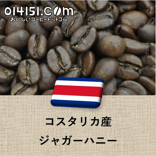 コーヒー豆 コスタリカ ジャガーハニー コーヒー 中煎 500g コスタリカハニー 珈琲豆 珈琲 50杯分