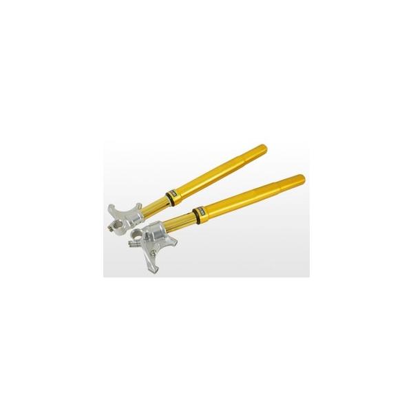 OHLINS オーリンズ正規品 ドカティ959/899 パニガーレV4/V2 (14