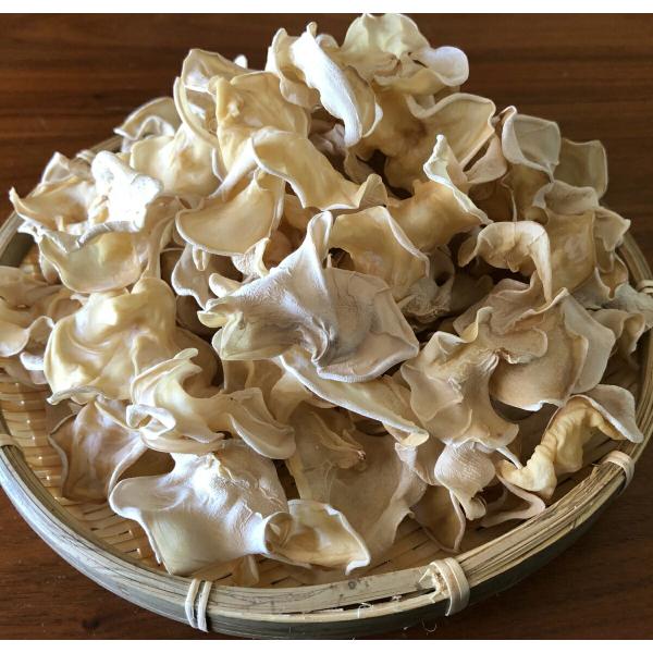 国産 白キクラゲ 40ｇ 熊本 人吉産 乾燥 楊貴妃も愛した【白きくらげ】<br><br>[食品][くまのきのこ屋][きくらげ][JAN: ]<br><br>[食品][くまのきのこ屋][きくら...
