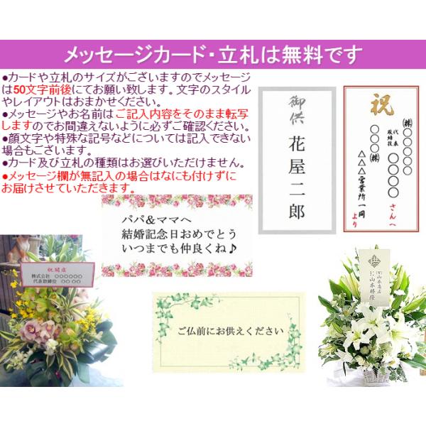 お供えアレンジメント ホワイトリリー メッセージカード付 供花 法事 枕花 弔事 命日 仏事 Buyee Buyee Japanese Proxy Service Buy From Japan Bot Online