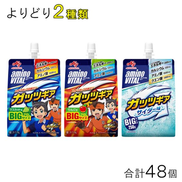 味の素 アミノバイタル ゼリードリンク ガッツギア パウチ 各種24個入×よりどり2種類セット：合計48個 250g ／飲料