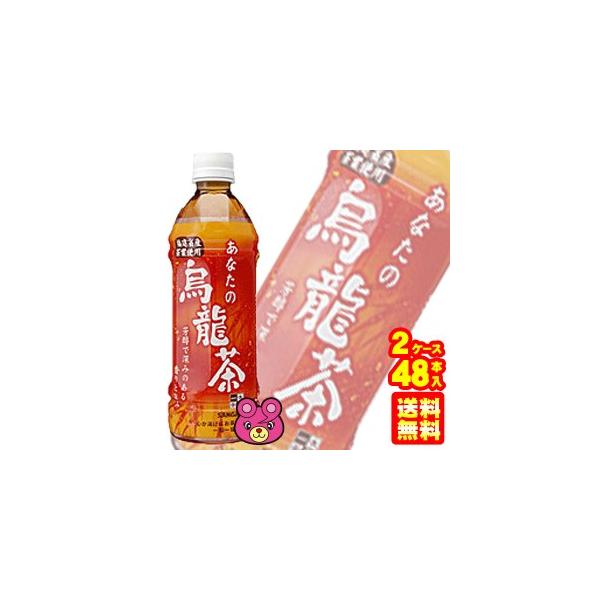 TKA Ȃ̉G PET 500ml×24{×2P[XFv48{