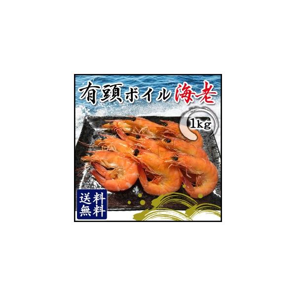 L{CCV 2L 1kg CV  Gr ^vⓀ^N[ց^HiFяX