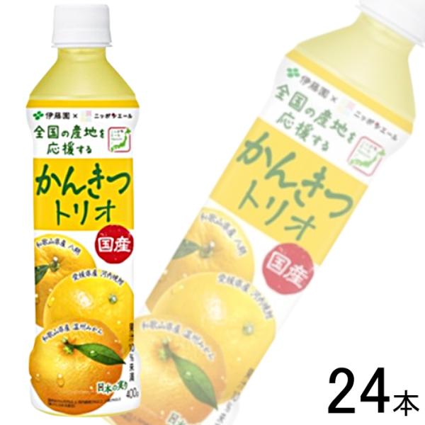 伊藤園（ITO EN） 1ケース／ 伊藤園 ニッポンエール 国産かんきつ