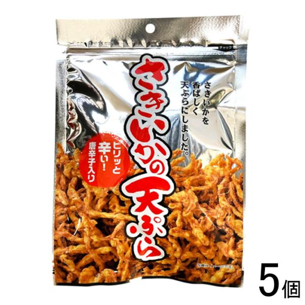 カネタ・ツーワン さきいかの天ぷら 60g×5個 ／NA