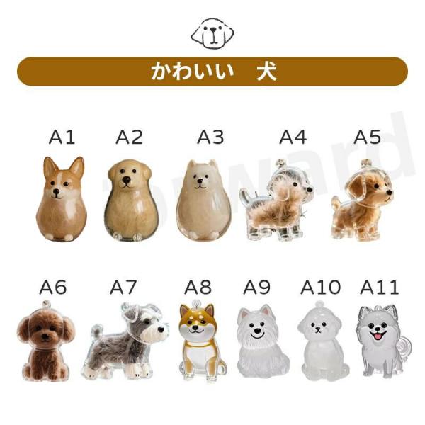 0e23_627petgoods_10_d_20250707155945