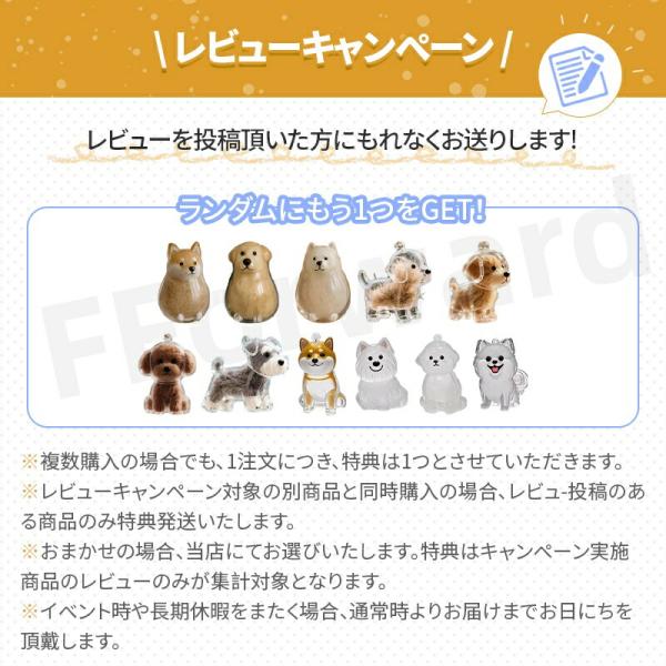 0e23_627petgoods_14_d_20250628151816