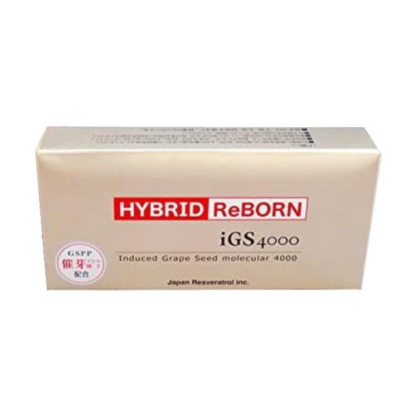 {Xxg[ ÉuhEq GSPP iGS4000 HYBRID ReBORN 30JvZ3Zbg