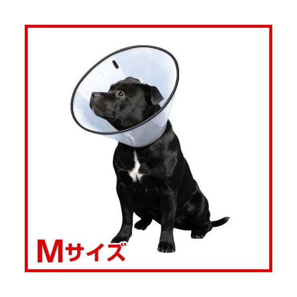 FW VET�J���[ M�T�C�Y ��� �U�� ���ł��� �t�@���^�W�[���[���h 4995723400069 #51861