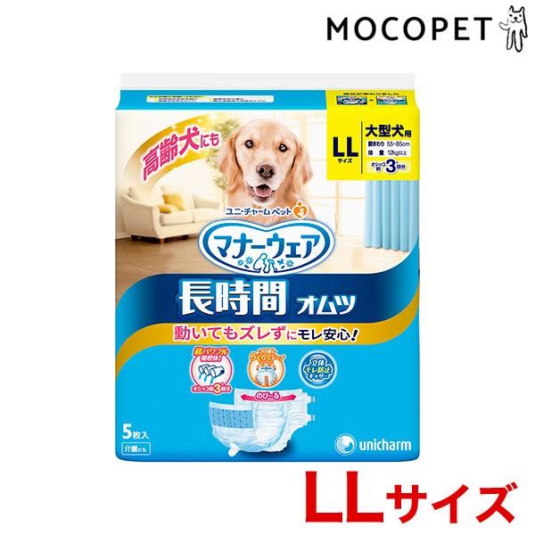 j`[ ybgp IcLL 5 (pނpc)gCp }i[   #53847