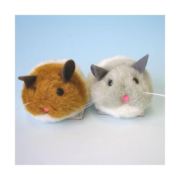 Super CAT ԂԂ˂ / L  d #55054