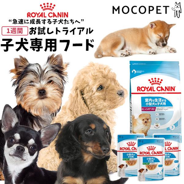 ロイヤルカナン 子犬シリーズ お試しサイズ / パピー 超小型犬 ロイヤルカナン 子犬シリーズ お試しサイズ / パピー 超小型犬