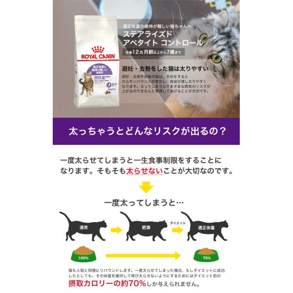 ロイヤルカナン アペタイト コントロール ステアライズド 4kg 生後12ヵ月齢 7歳まで 避妊去勢 成猫用 Fhn Royal Canin Rc Dry Rcsc Buyee Buyee 日本の通販商品 オークションの代理入札 代理購入
