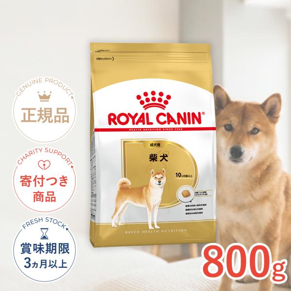 ロイヤルカナン（ROYAL CANIN） 柴犬 成犬用 800g / 柴犬 成犬用（生後