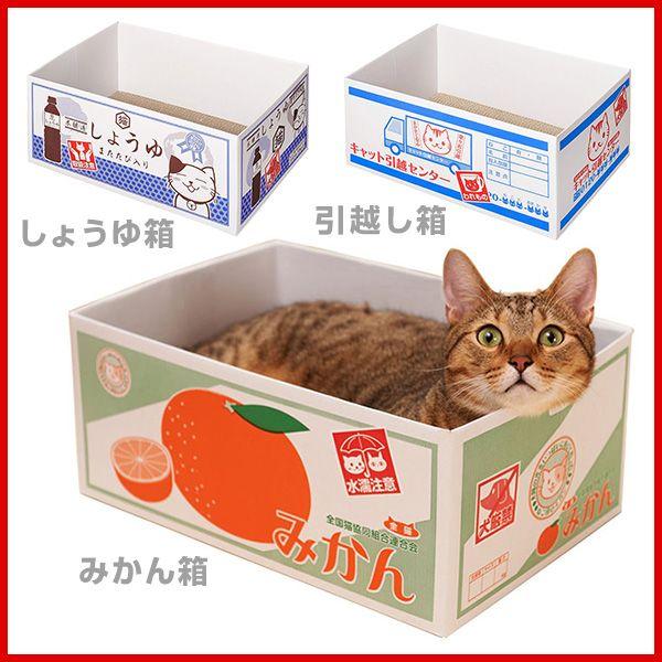 エイムクリエイツ にゃんボール みかん箱 W W モコペット 通販 Yahoo ショッピング