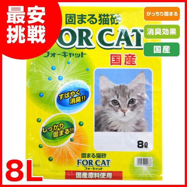 りかち様用f6猫 新東北化学工業 フォーキャット 8L 4901879002668 #w-136723【おひとり