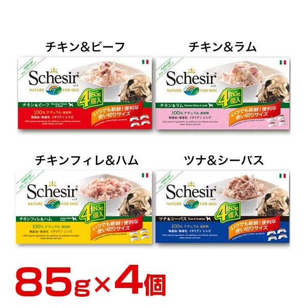 [VVA]Schesir hbO }`pbN 85g×4Zbg / `Lr[t `L `LtBn ciV[oX / p