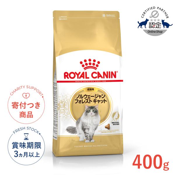 ロイヤルカナン（ROYAL CANIN） ノルウェージャン フォレスト キャット