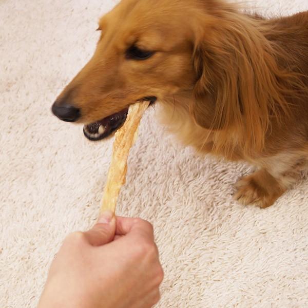ドギーマン 無添加良品 アキレススティック ハード ロング 国産 犬用おやつ 80g W Buyee Buyee 日本の通販商品 オークションの代理入札 代理購入