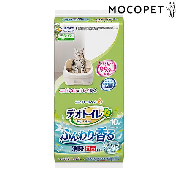 fIgCp ӂ荁LERۃV[g i`K[f̍ 10 |pi Lpi ӂEqpi L 4520699623473