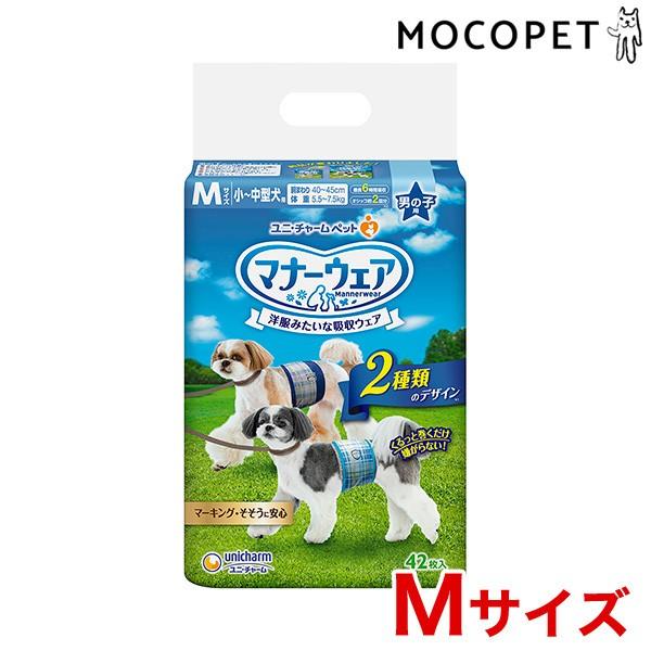 j`[ }i[EFA j̎qp TCY 42 MTCY `^p 4520699676226 #w-155157-00-00 pi gCpi }i[ o