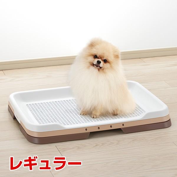 [b`F]Richell |ȒPXebvg[ _[NuE M[TCY 4973655599402 #w-155535